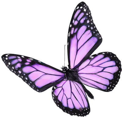 sticker Botanical icon lavender butterfly